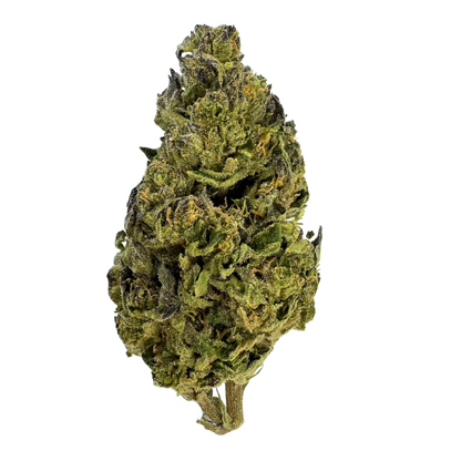 Jokerz Premium THCA Flower - Potent Hybrid, Sweet Candy & Fuel Aroma