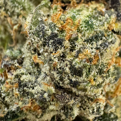 Crescendo Exotic Indoor THCA Flower: Bold Citrus Earthy Hybrid for Relaxation
