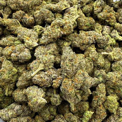 Crescendo Exotic Indoor THCA Flower: Bold Citrus Earthy Hybrid for Relaxation