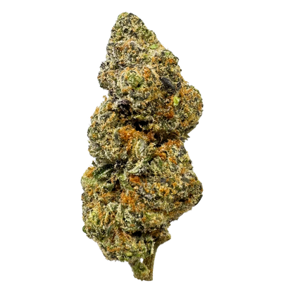 Crescendo Exotic Indoor THCA Flower: Bold Citrus Earthy Hybrid for Relaxation