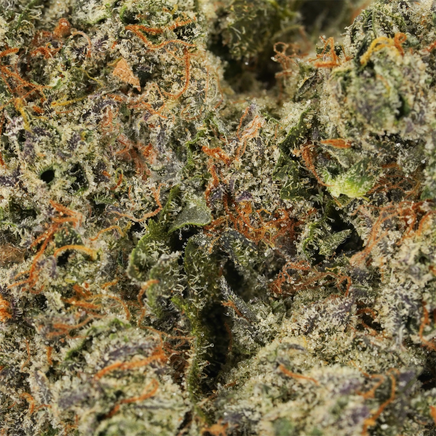 Premium Emergency Runtz Exotic Indoor THCA Flower: Tropical, Creamy, Relaxing Mood