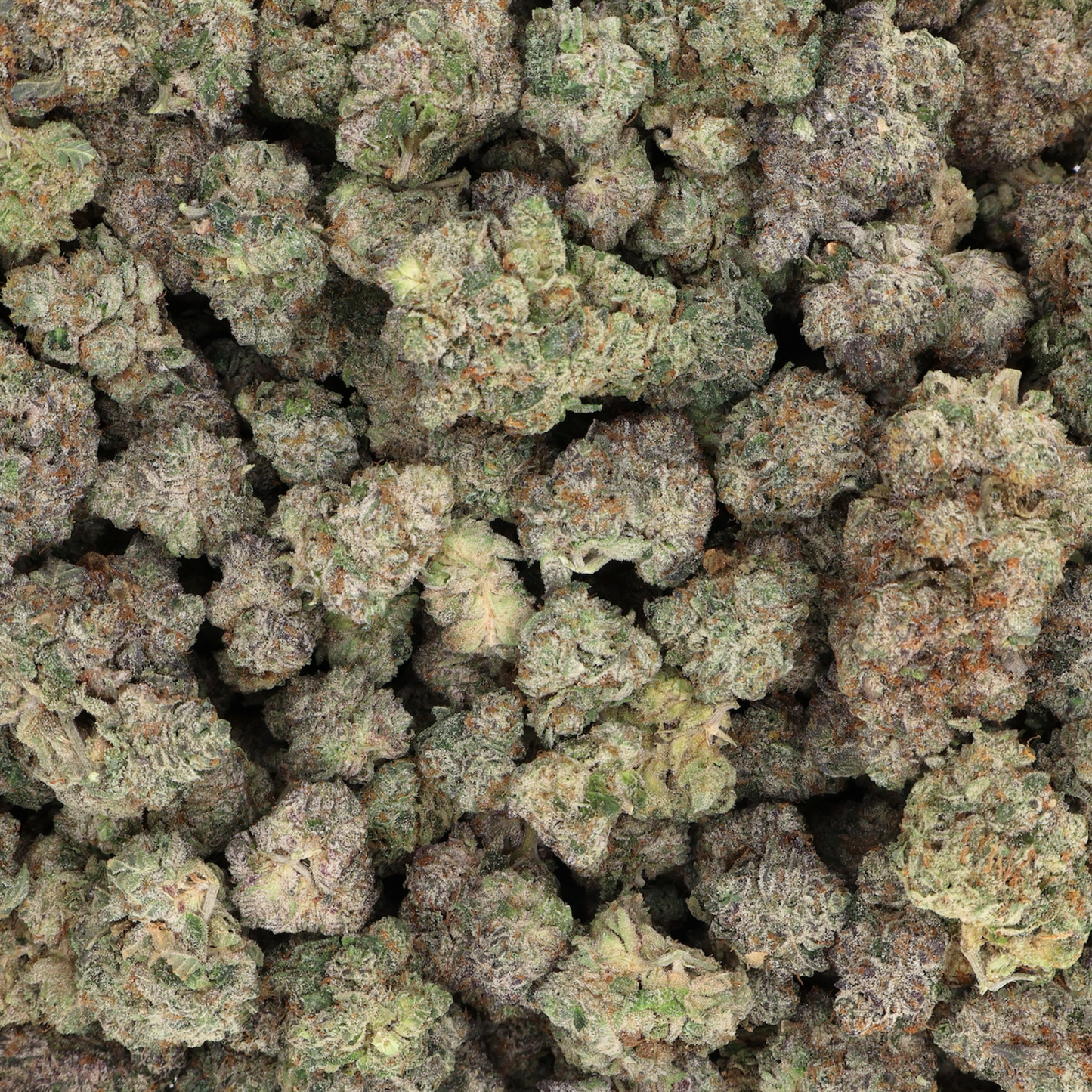 Premium Emergency Runtz Exotic Indoor THCA Flower: Tropical, Creamy, Relaxing Mood