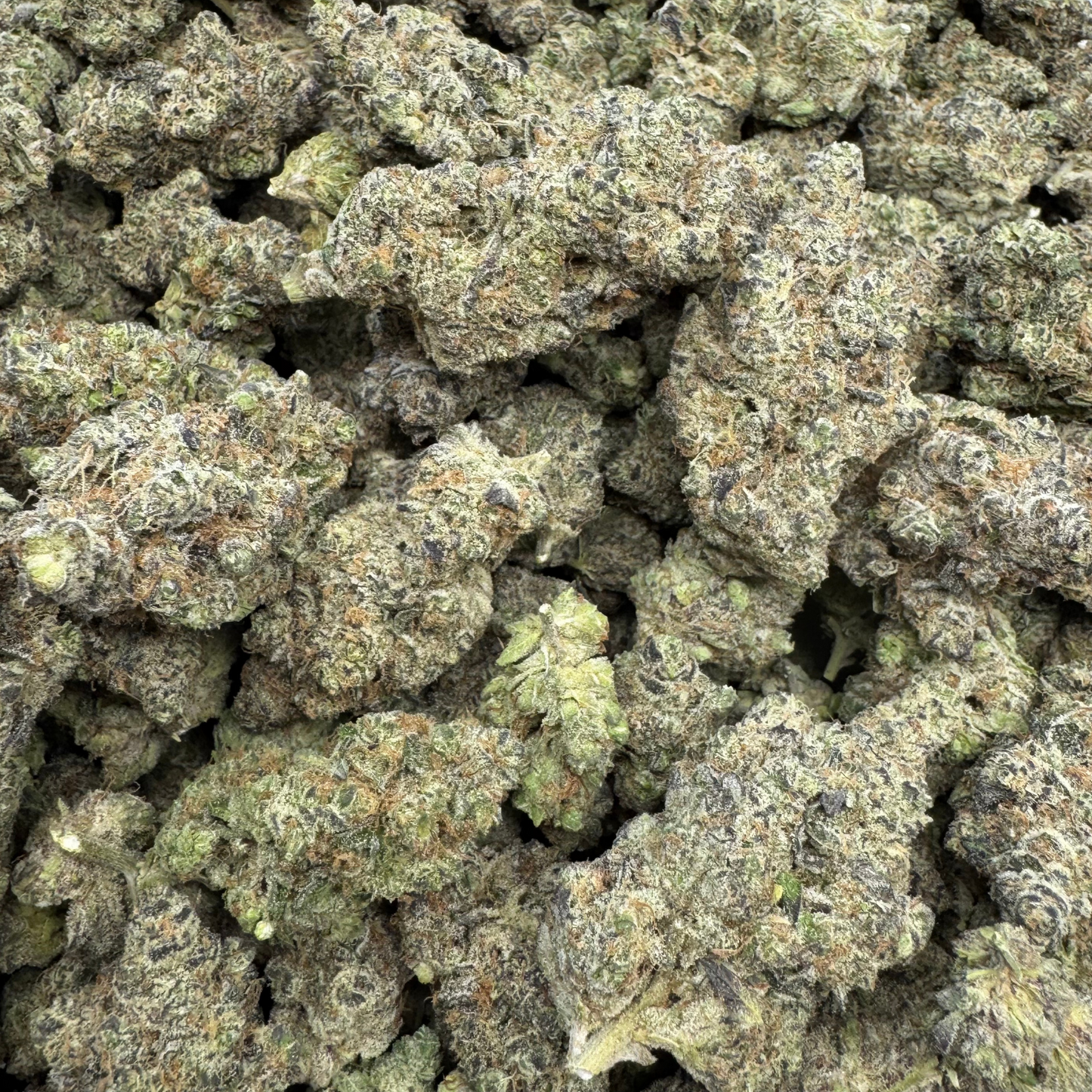 Gush Mintz Exotic Indoor THCA Flower - Premium Indica Relaxation Strain