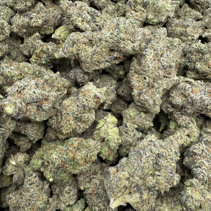 Gush Mintz Exotic Indoor THCA Flower - Premium Indica Relaxation Strain