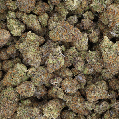 Premium Lemon Cherry Gelato Indoor THCA Flower - Potent Balanced Hybrid