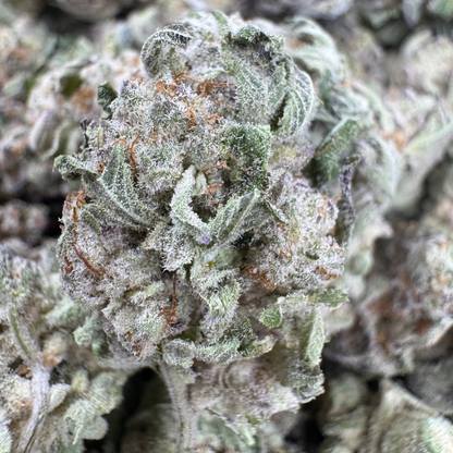 Exotic Indoor Purple Push Pops THCA Flower Smalls - Potent, Aromatic, Premium Quality