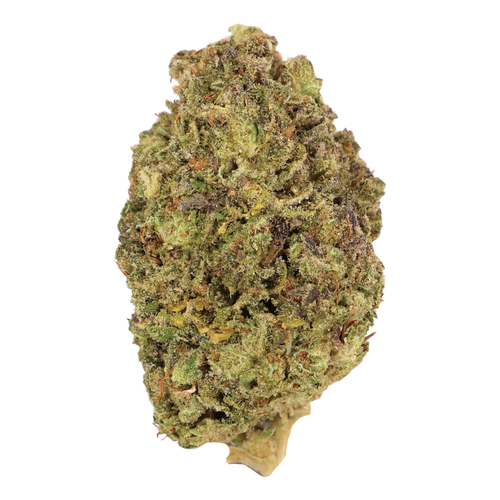 Premium Sashimi Dep THCA Flower: Exotic Hybrid for Enhanced Focus & Relaxation