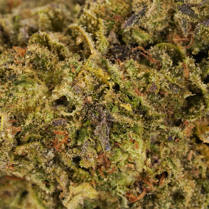 Premium Sashimi Dep THCA Flower: Exotic Hybrid for Enhanced Focus & Relaxation