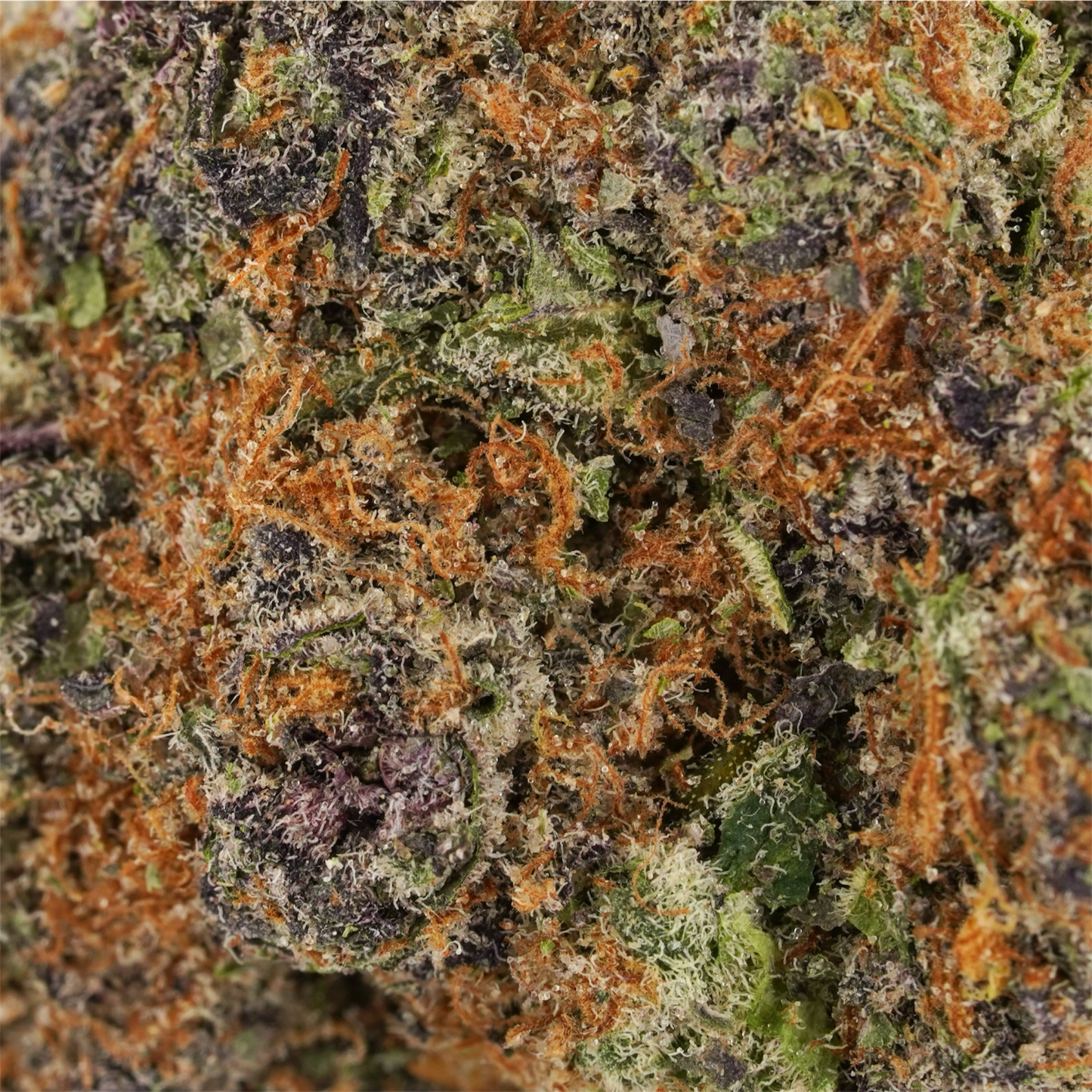 Premium Super Boof THCA Flower: Exotic Indoor Indica Hybrid for Relaxation